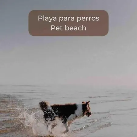 Lima Sorbet Nuevo Piscina Terraza Privada Y Wifi Apartmán *