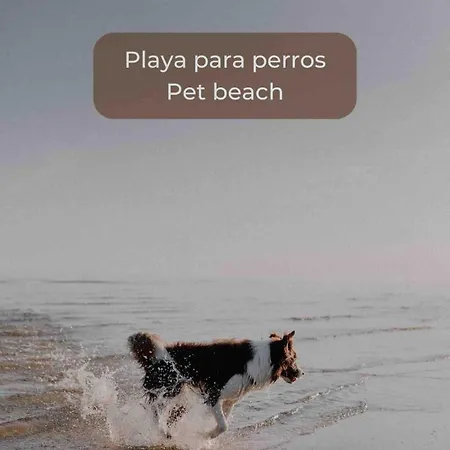 Lima Sorbet Nuevo Piscina Terraza Privada Y Wifi Apartmán