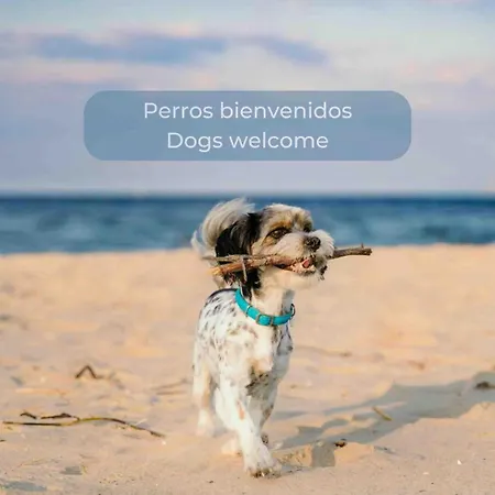 Lima Sorbet Nuevo Piscina Terraza Privada Y Wifi Κοραλέχο