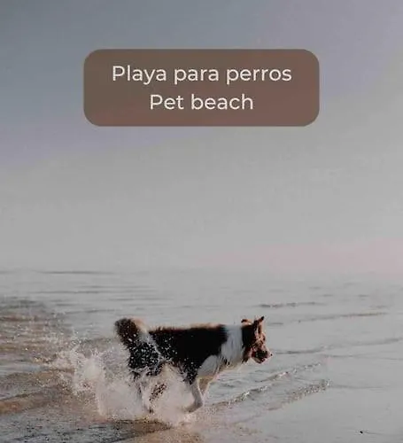 Lima Sorbet Nuevo Piscina Terraza Privada Y Wifi アパート *