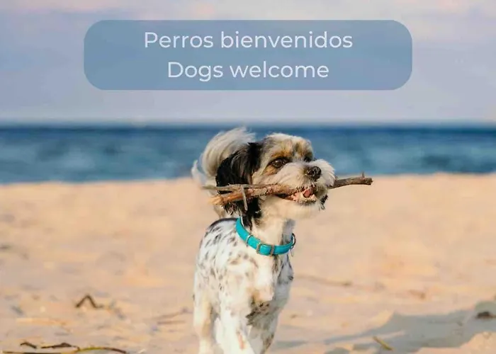 Lima Sorbet Nuevo Piscina Terraza Privada Y Wifi コラレホ