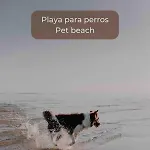 Lima Sorbet Nuevo Piscina Terraza Privada Y Wifi 公寓