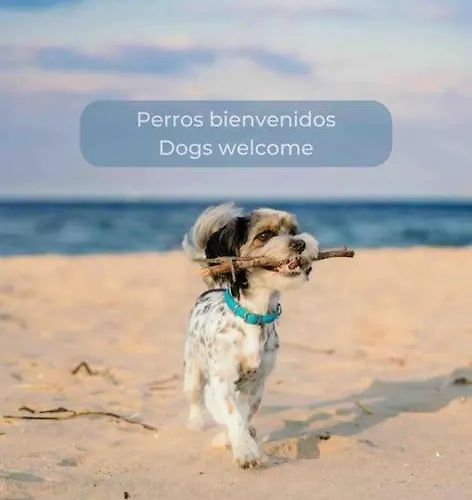 公寓 Lima Sorbet Nuevo Piscina Terraza Privada Y Wifi 科拉雷侯