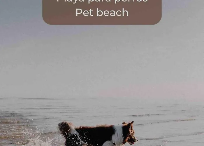 Lima Sorbet Nuevo Piscina Terraza Privada Y Wifi Apartment